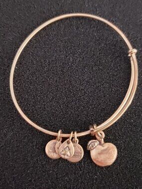 Alex and Ani Gold Apple Charm Bracelet Bangle 39